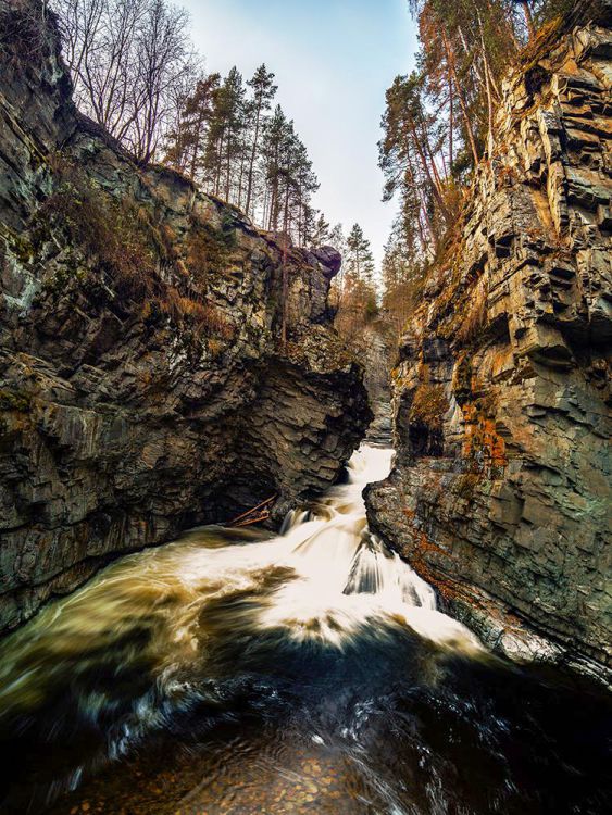 Wild water 