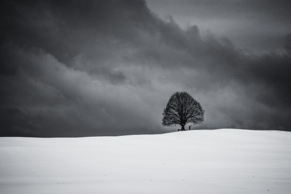 loneliness