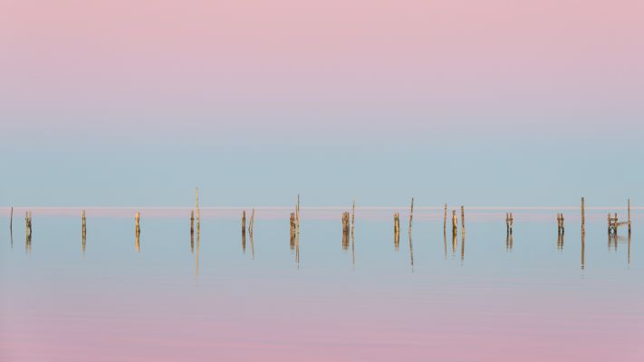 Chromatic Stillness