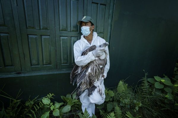Vulture Restaurant