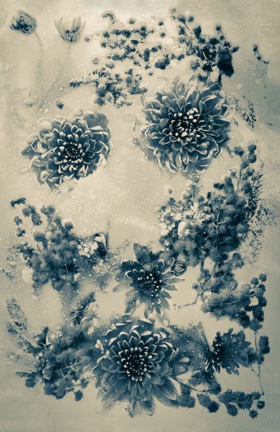 Floral Landscape