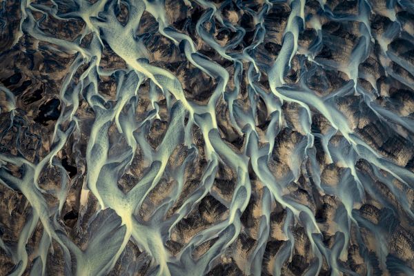 Arctic Veins