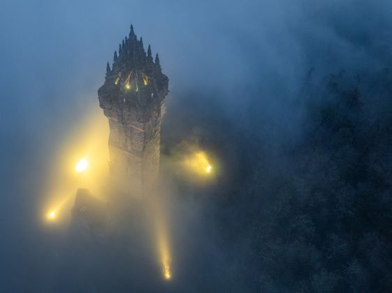 Crown of Light
